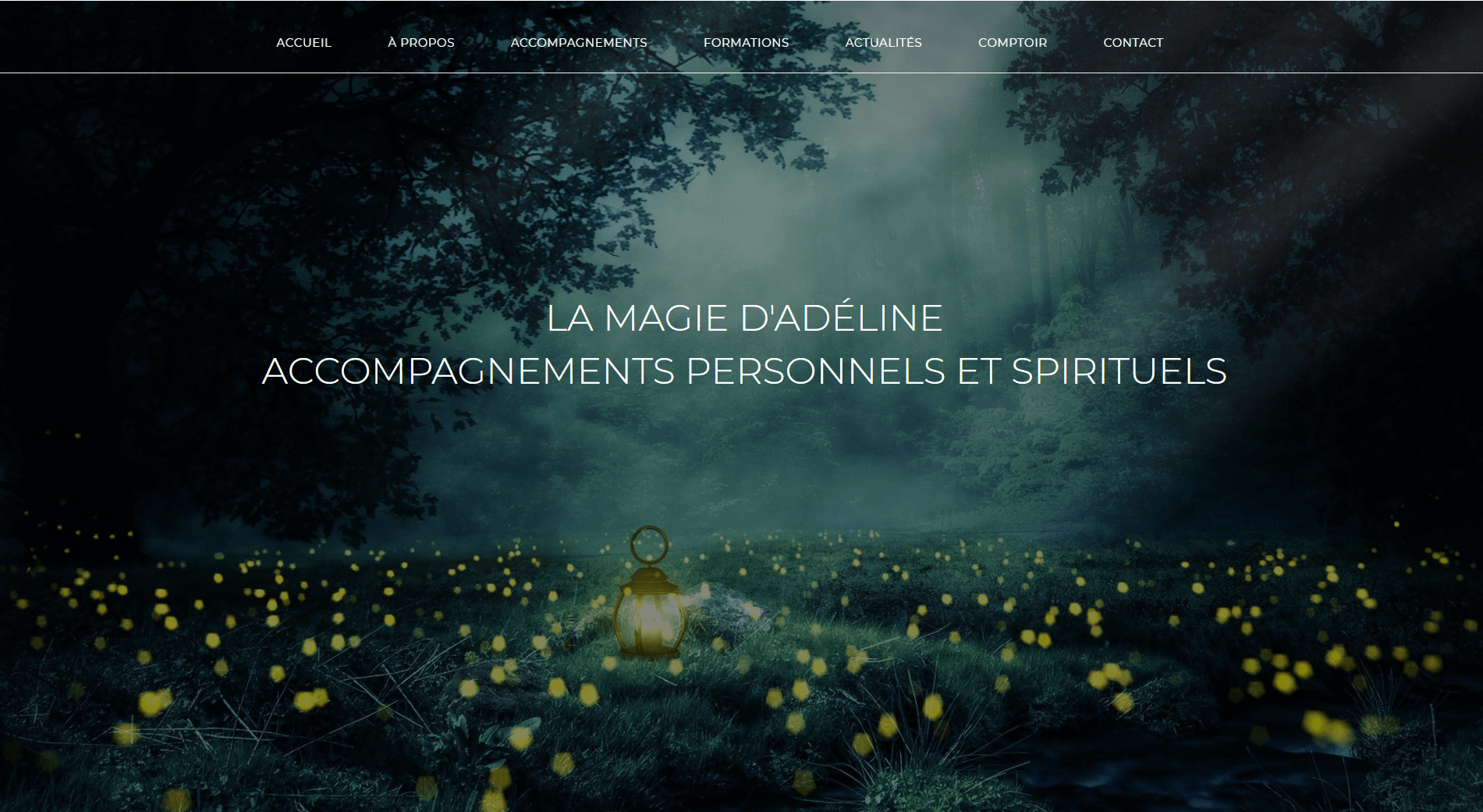 Homepage du site web elsienergie.fr
